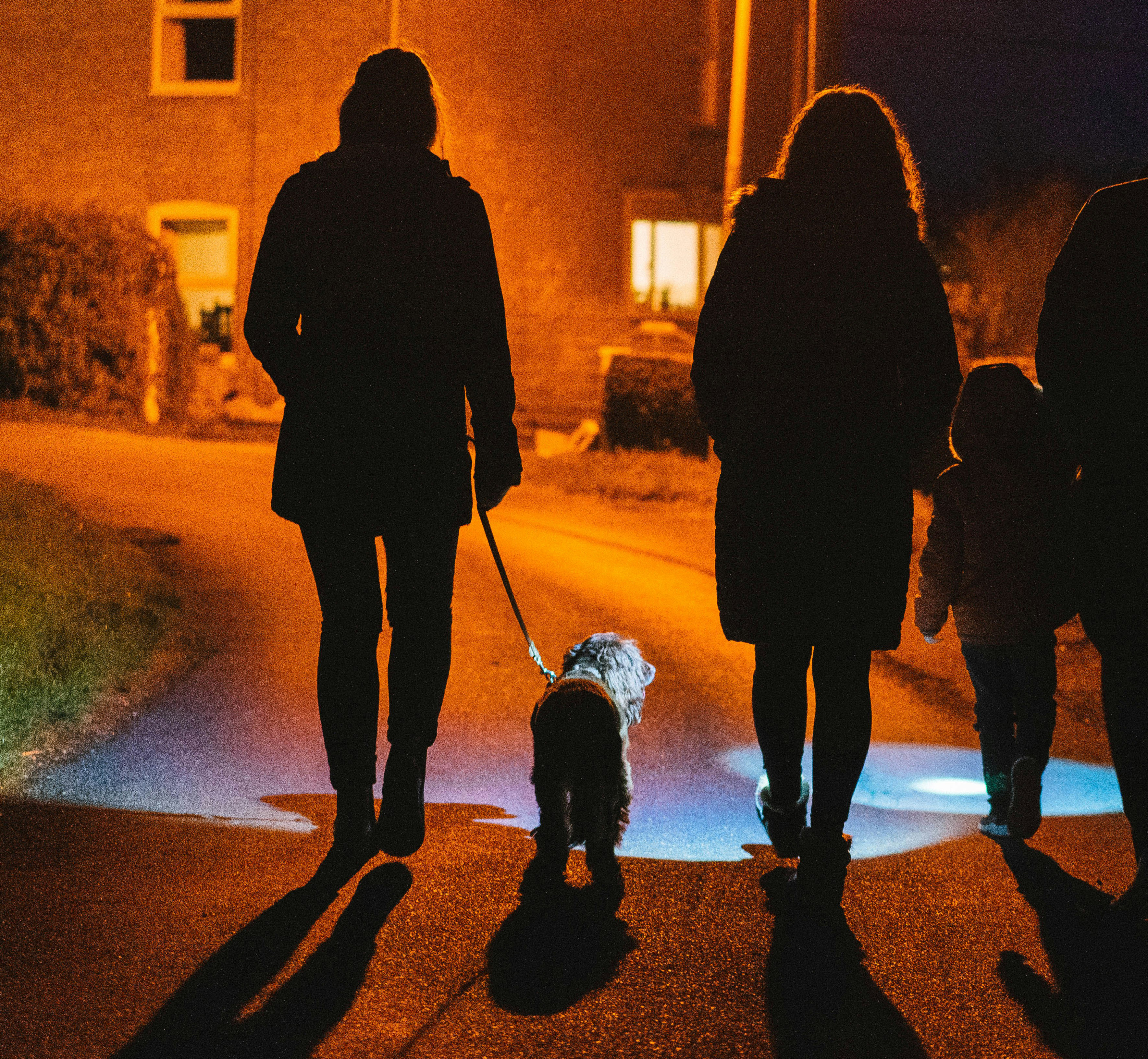 people walking dog at night