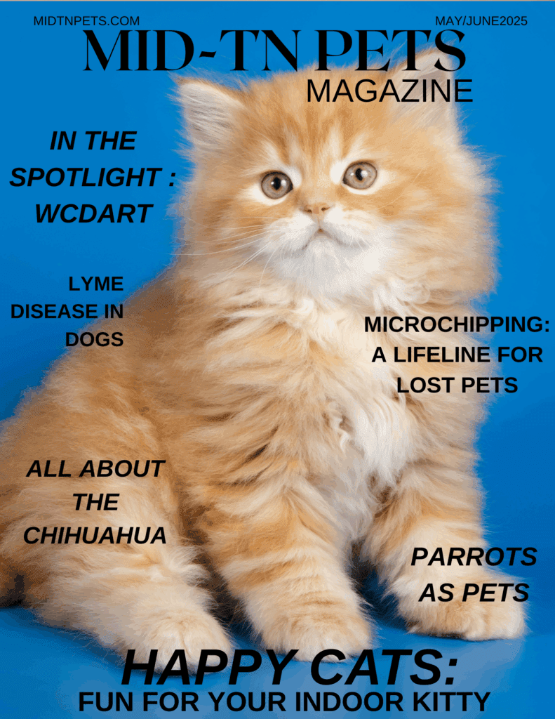 MAY JUNE 2025 COVER