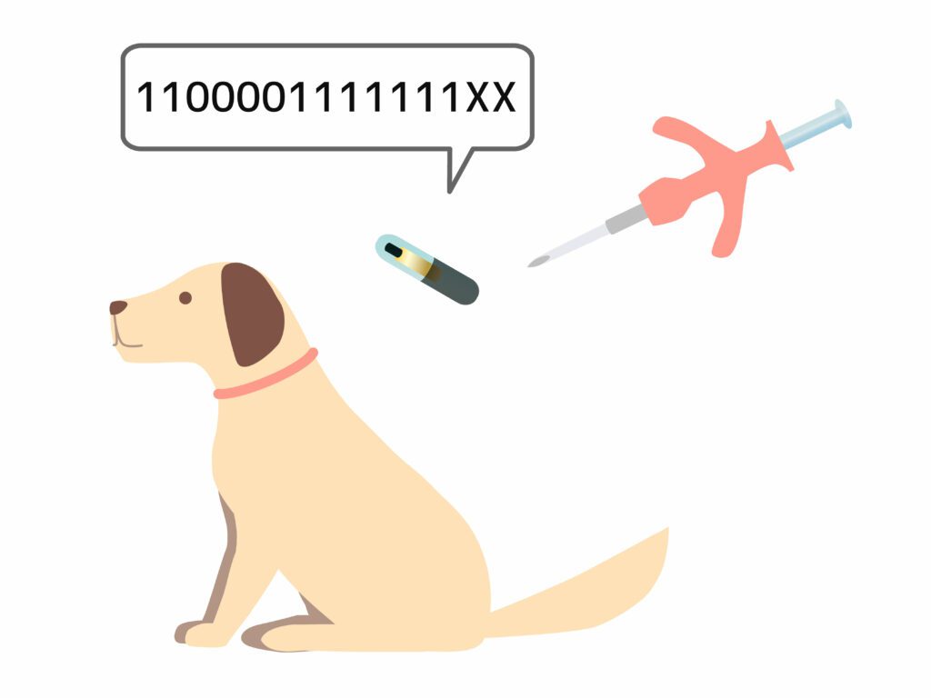 microchipping your pet