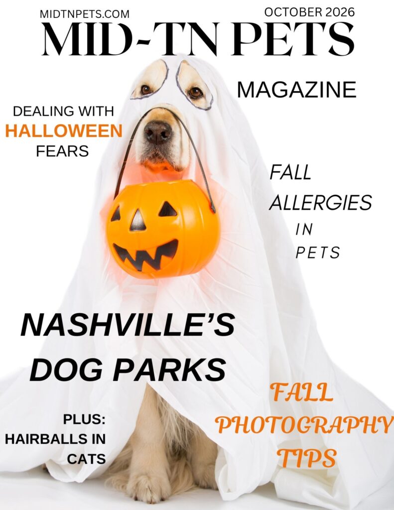 October issue